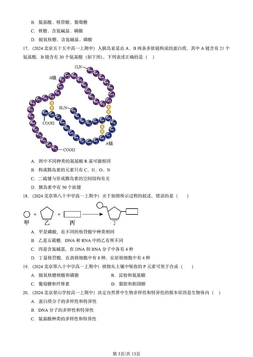 2024北京重点校高一(上)期中真题生物汇编:组成细胞的分子章节综合1第3页