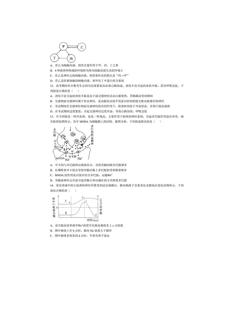 乌鲁木齐地区2025年高三年级第二次质量监测生物试卷含答案第3页