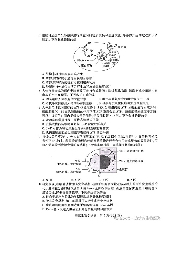 湖北省武汉市2025届高中毕业生二月调研考试生物试卷第2页