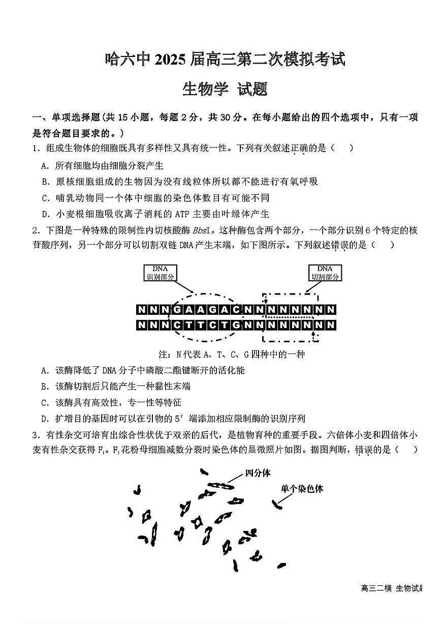 黑龙江哈尔滨六中2025届高三高考模拟第二次模拟-生物试题+答案第1页