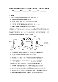 河南省部分学校2024-2025学年高三下学期3月联考生物试题（附答案解析）
