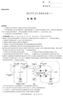 2024届湖南省雅礼中学高三下学期5月模拟(一)-生物试卷(含答案)