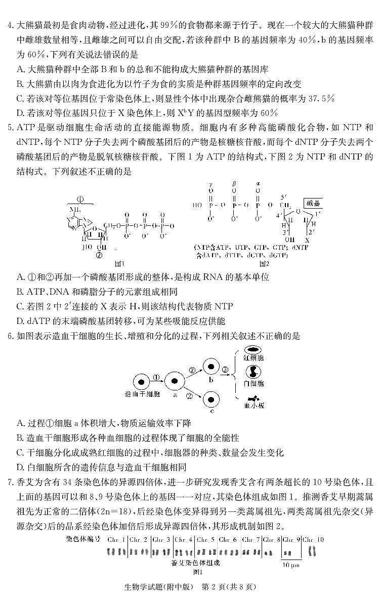 2024届湖南师大附中高三下学期模拟考试(一)生物试卷(含答案)第2页
