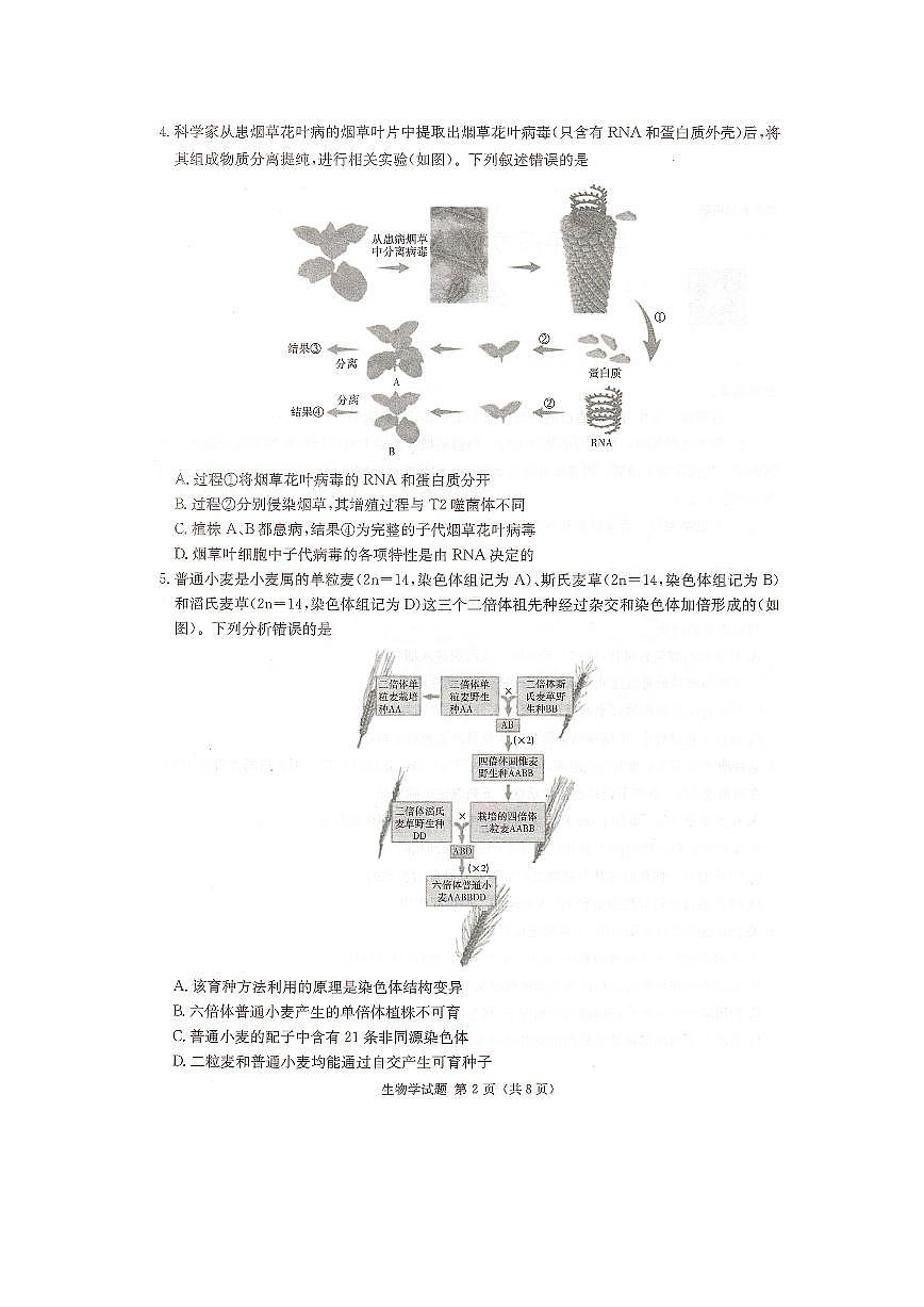2024届湖南炎德英才高三下学期考前仿真联考一-生物试卷(含答案)第2页