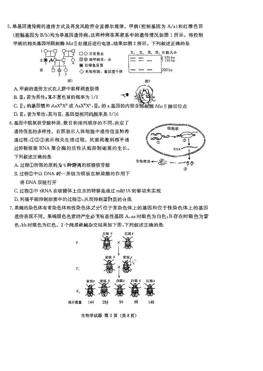 2024届炎德英才名校联合体高三上学期第二次联考-生物试题(含答案)第2页