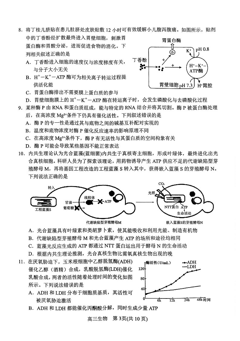 2025届河南省南阳市高三11月期中考-生物试题(含答案)第3页