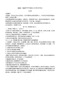 2025届河南省三门峡市高三11月期中考-生物试题（含答案）