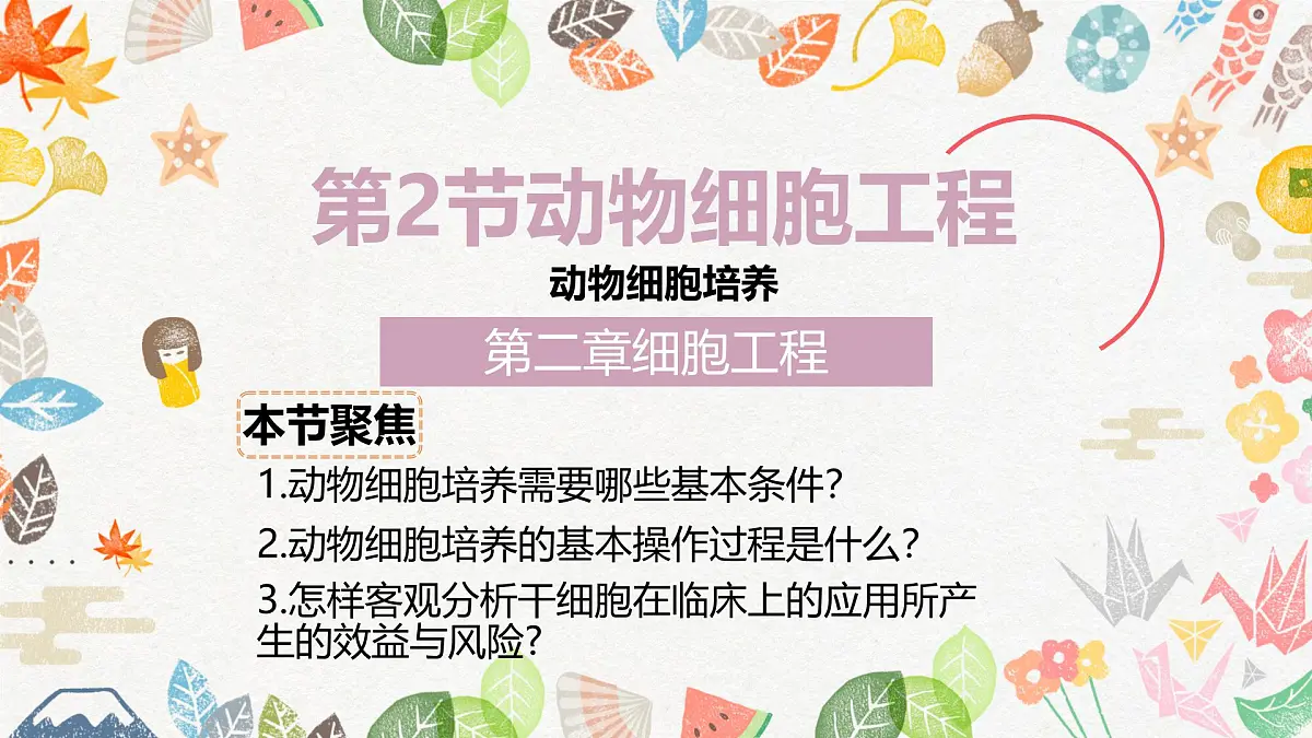 2.2 动物细胞工程(第1课时)动物细胞培养-2024-2025学年高二生物优质课件(人教版2019选择性必修3)第1页