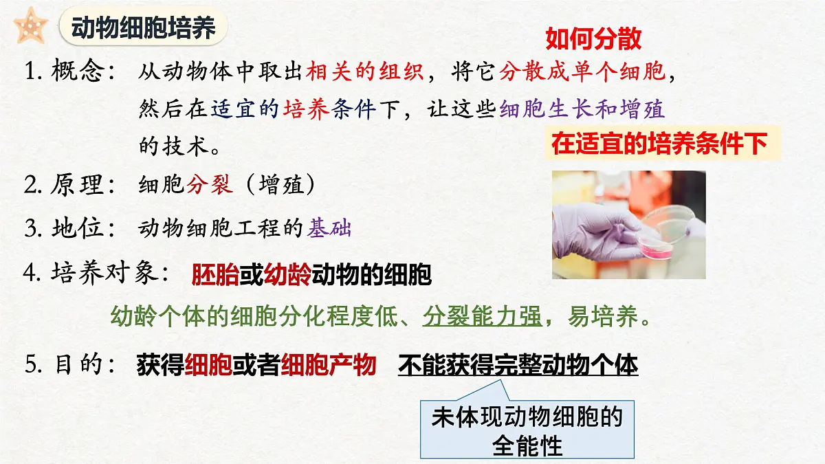 2.2 动物细胞工程(第1课时)动物细胞培养-2024-2025学年高二生物优质课件(人教版2019选择性必修3)第4页