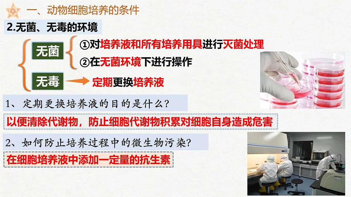 2.2 动物细胞工程(第1课时)动物细胞培养-2024-2025学年高二生物优质课件(人教版2019选择性必修3)第6页