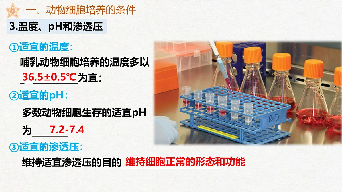 2.2 动物细胞工程(第1课时)动物细胞培养-2024-2025学年高二生物优质课件(人教版2019选择性必修3)第7页