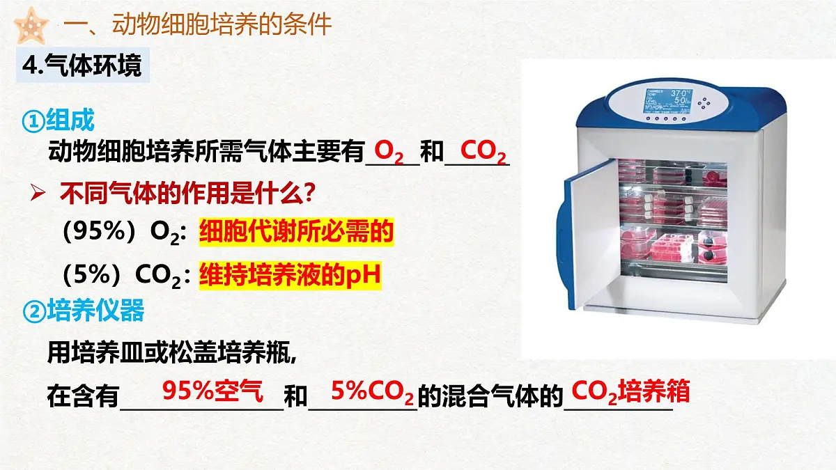 2.2 动物细胞工程(第1课时)动物细胞培养-2024-2025学年高二生物优质课件(人教版2019选择性必修3)第8页