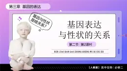 4.2.2 基因表達(dá)與性狀的關(guān)系（教學(xué)課件）-2024-2025學(xué)年高一生物（人教版2019必修2）