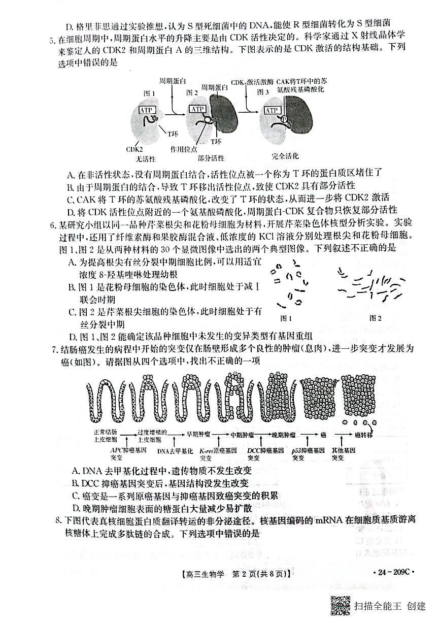 2024届江苏省百校大联考高三上学期第二次考试(12月)-生物试题(含答案)第2页