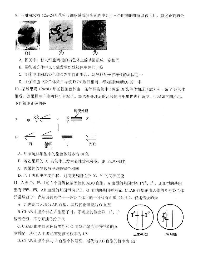 2024屆江蘇省高郵市高三上學(xué)期10月學(xué)情調(diào)研測(cè)試-生物試題（含答案）第3頁(yè)
