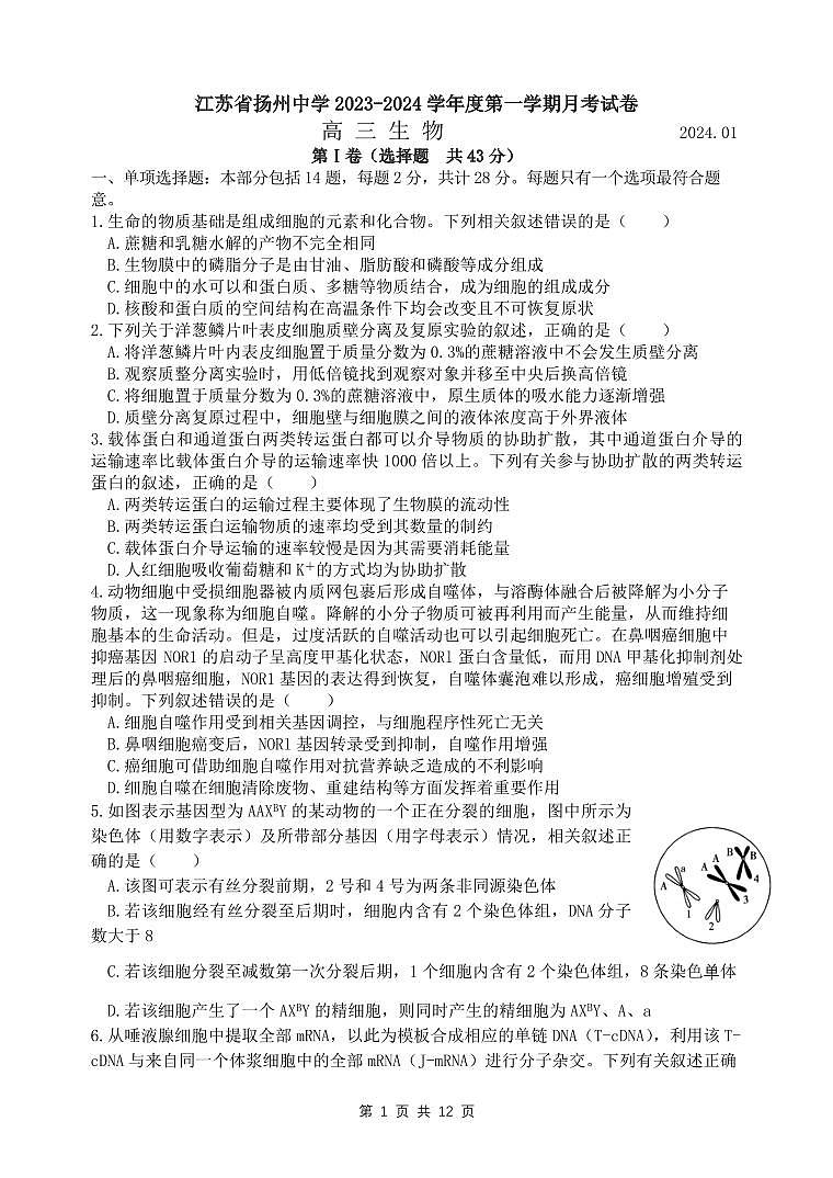 2024届江苏省扬州中学高三上(1月)-生物试题(含答案)第1页
