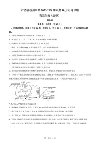 2024届江苏省扬州中学高三上学期10月月考-生物试题（含答案）