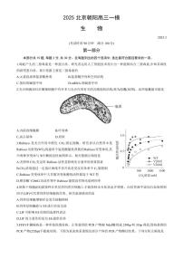2025北京朝阳高三一模[高考模拟]生物试卷及答案