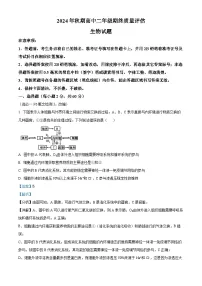 河南省南阳市2024-2025学年高二上学期1月期末考试生物试卷 含解析