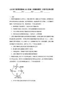 山东省大教育联盟高2025届高三质量检测第二次联考生物试题（无答案）