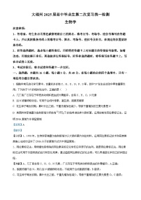 云南省大理白族自治州2024—2025学年高三上学期第二次模拟生物试题  含解析