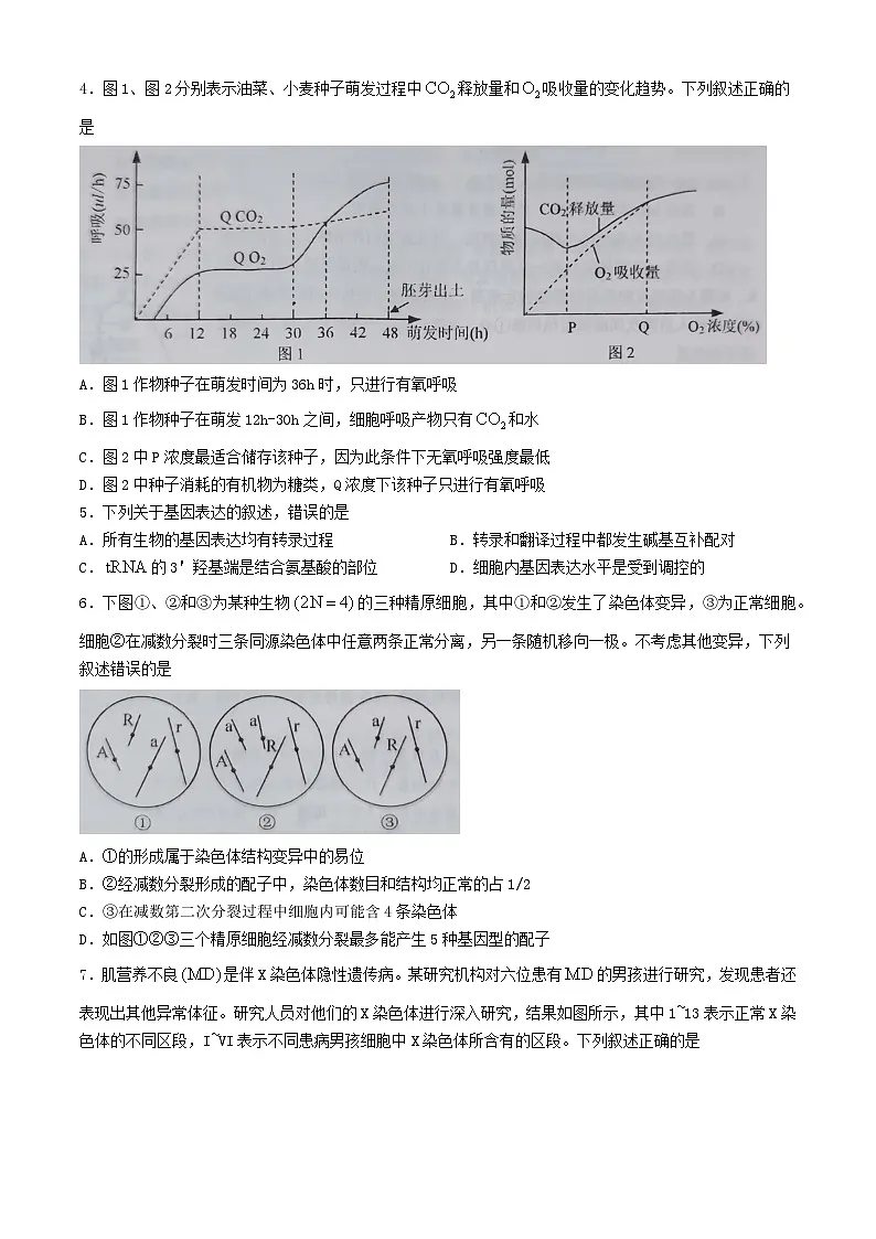 安徽省池州市2024届高三生物下学期3月教学质量统一监测试题二模含解析第2页