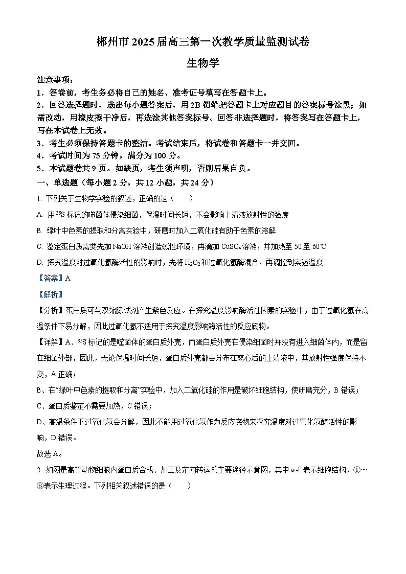 湖南省郴州市2024-2025学年高三上学期一模生物试题 含解析第1页