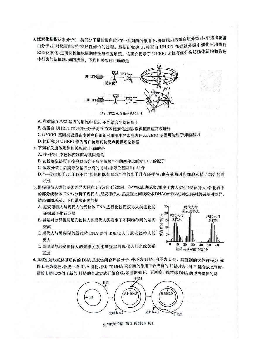 湖南省长郡二十校联盟2025届高三下学期4月第二次联考-生物试题+答案第2页