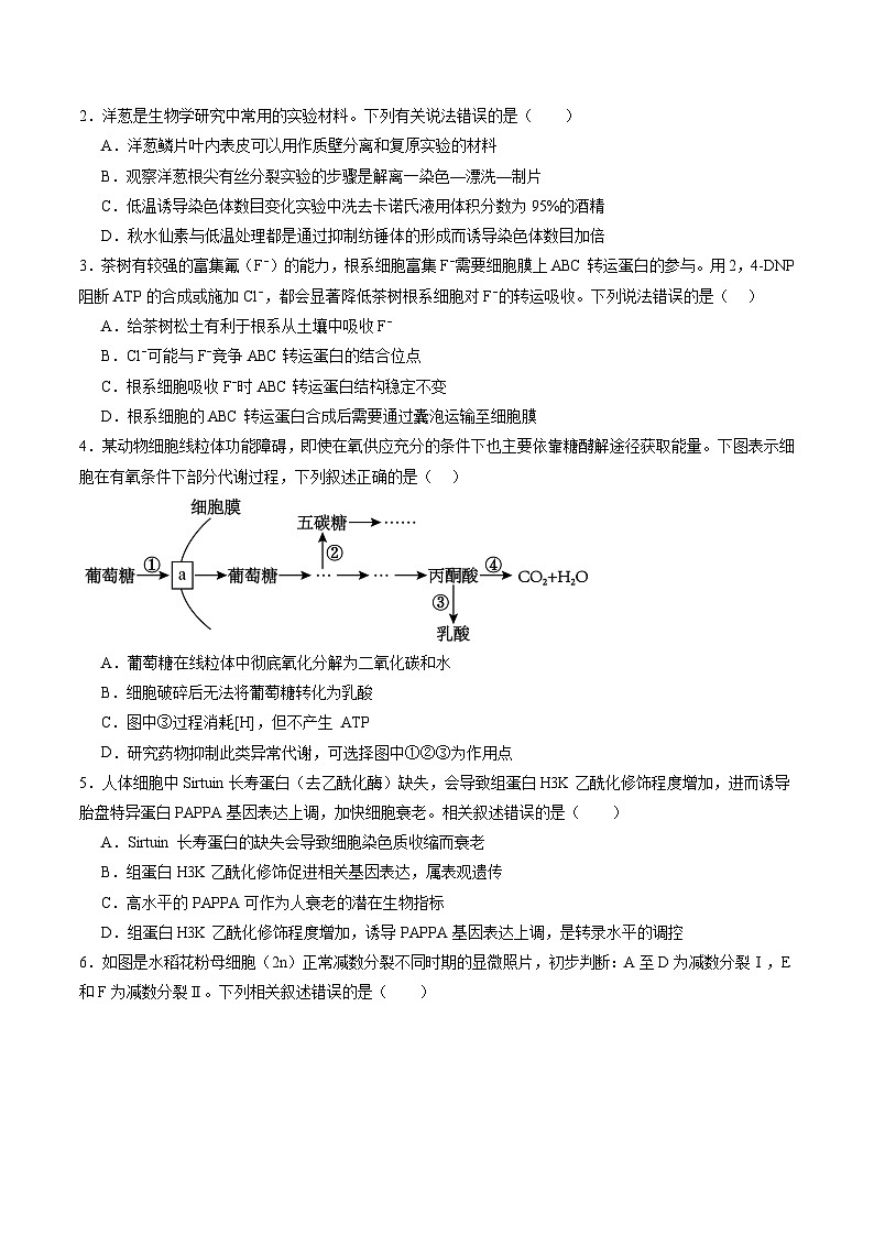 信息必刷卷01(广东专用)(原卷版)第2页