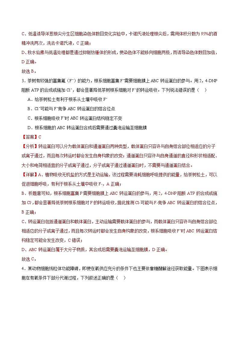 信息必刷卷01(广东专用)(解析版)第3页