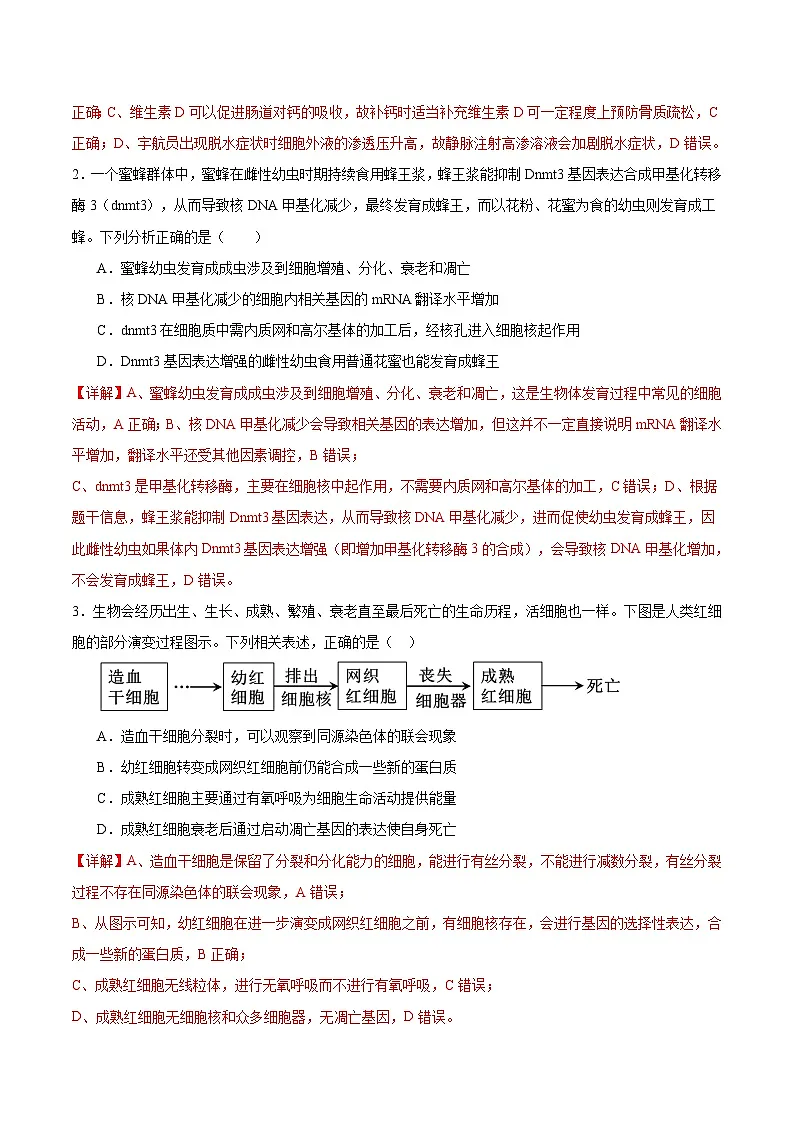 信息必刷卷03(广东专用)(解析版)第3页
