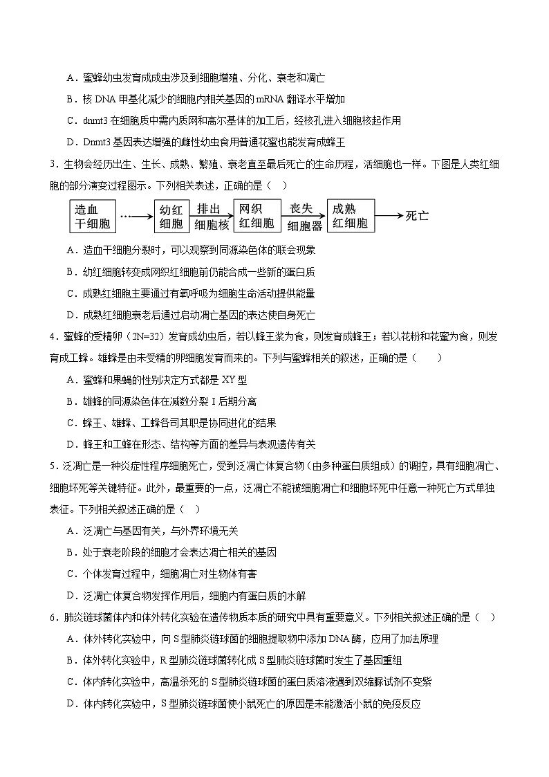 信息必刷卷03(广东专用)(原卷版)第3页