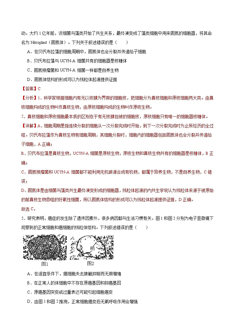 信息必刷卷04(广东专用)(解析版)第2页