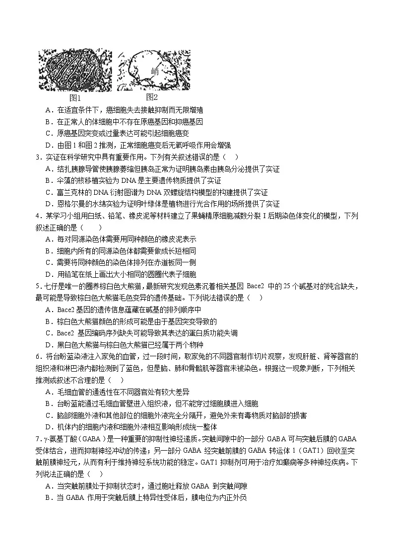 信息必刷卷04(广东专用)(原卷版)第2页