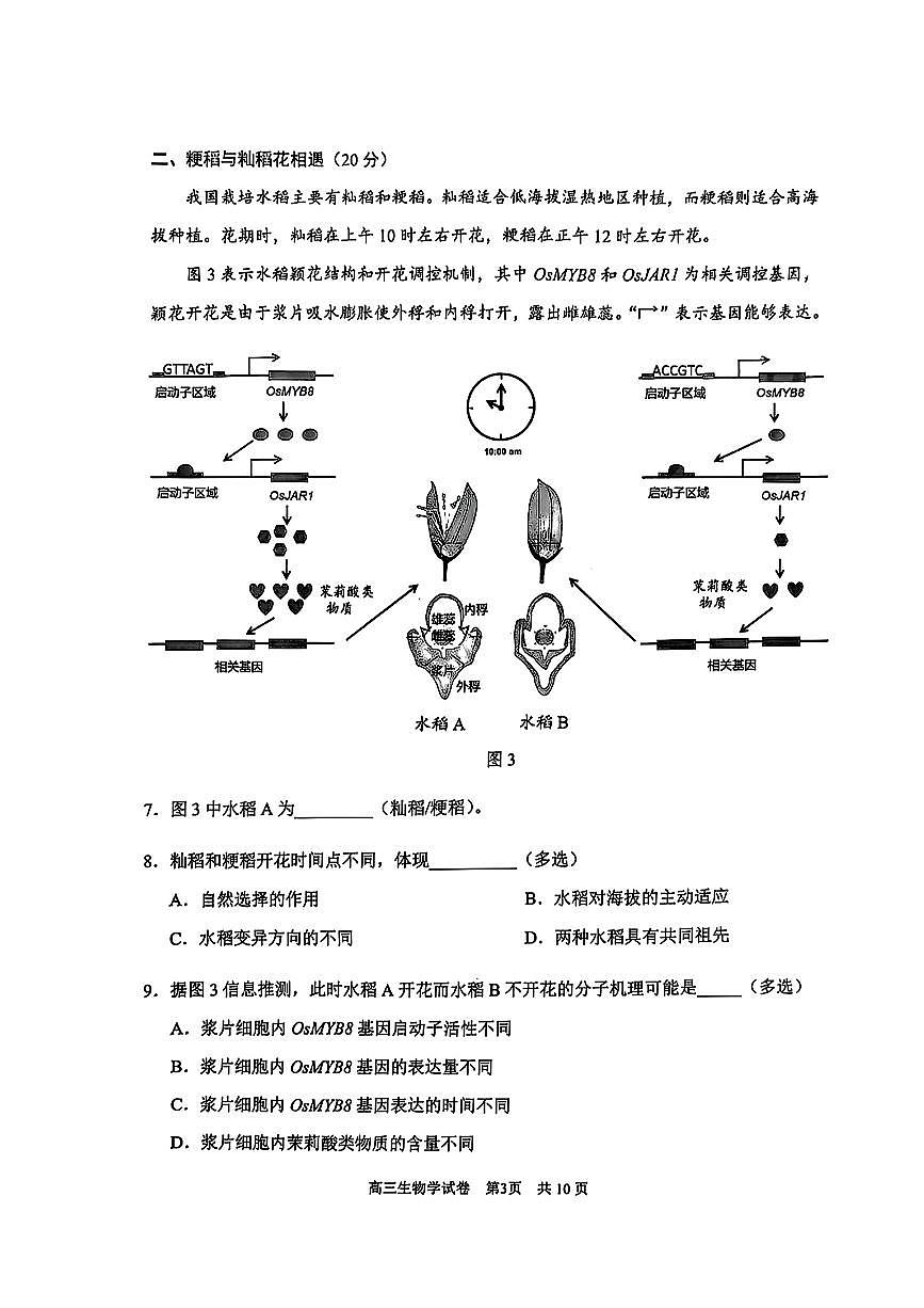 上海市浦东新区2024学年度第二学期高中教学质量检测生物第3页