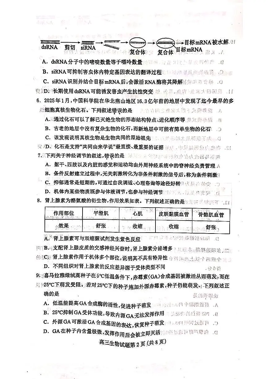 2025届河北省保定市高三下学期高考第一次模拟考试生物试题(无答案)第2页