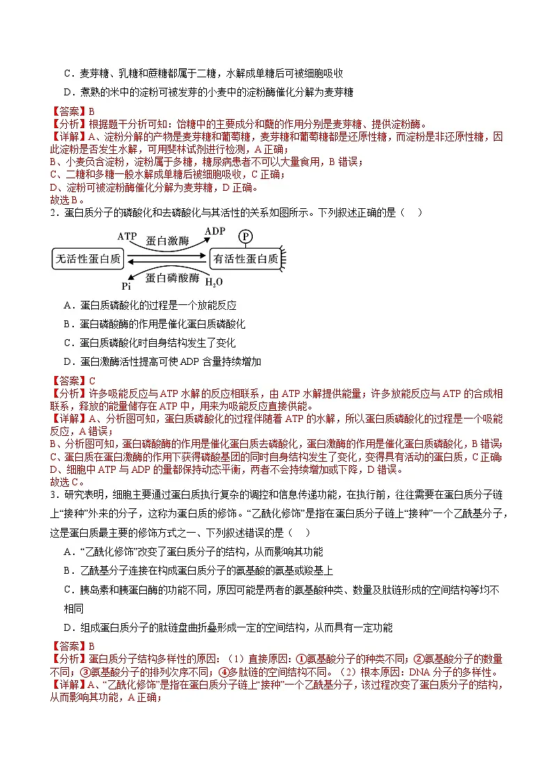 信息必刷卷03(新高考通用)解析版第2页