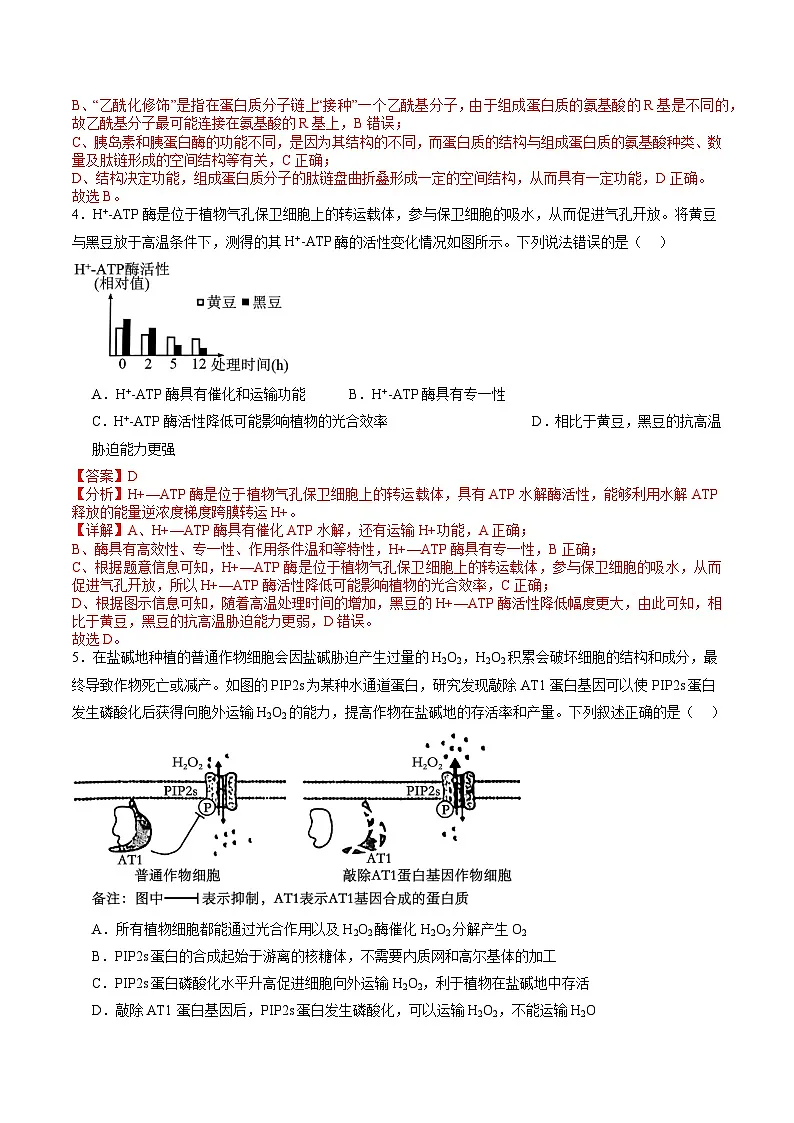 信息必刷卷03(新高考通用)解析版第3页