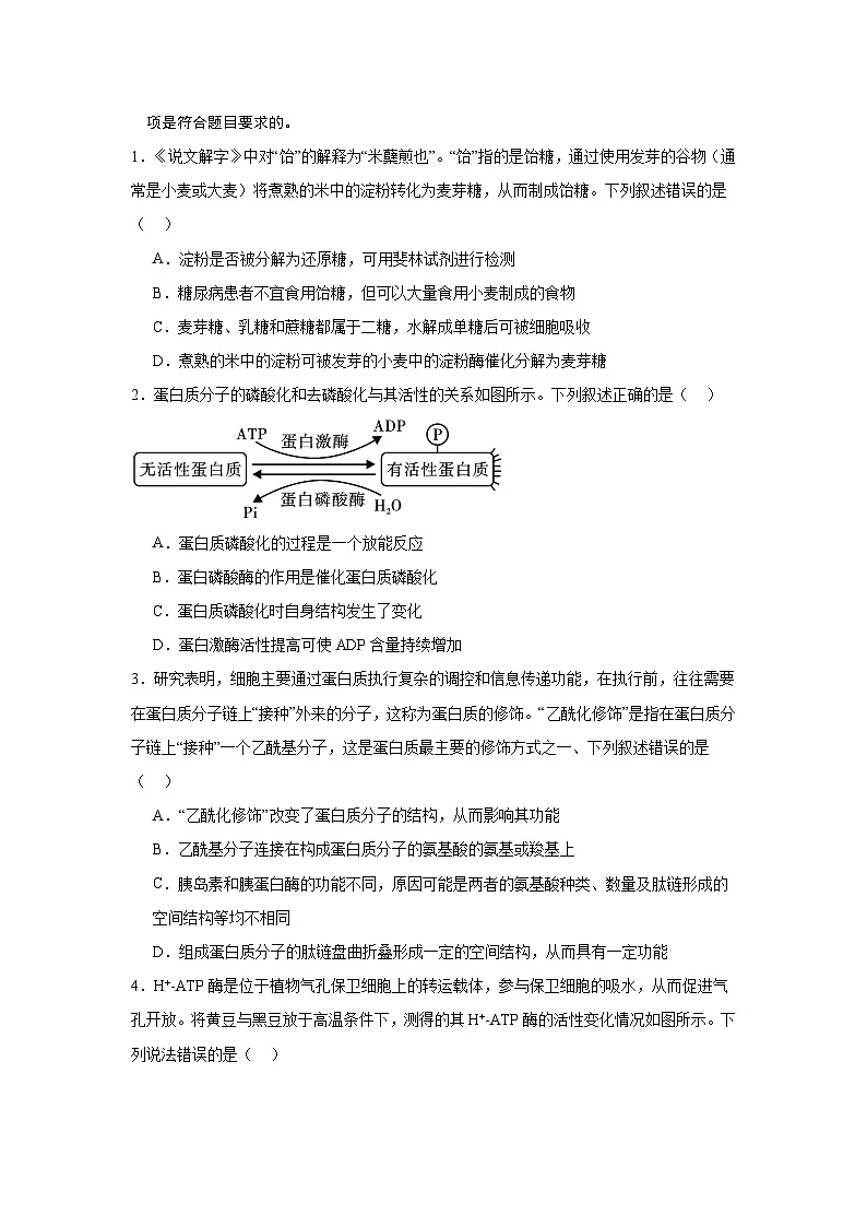 信息必刷卷03(新高考通用)原卷版第2页