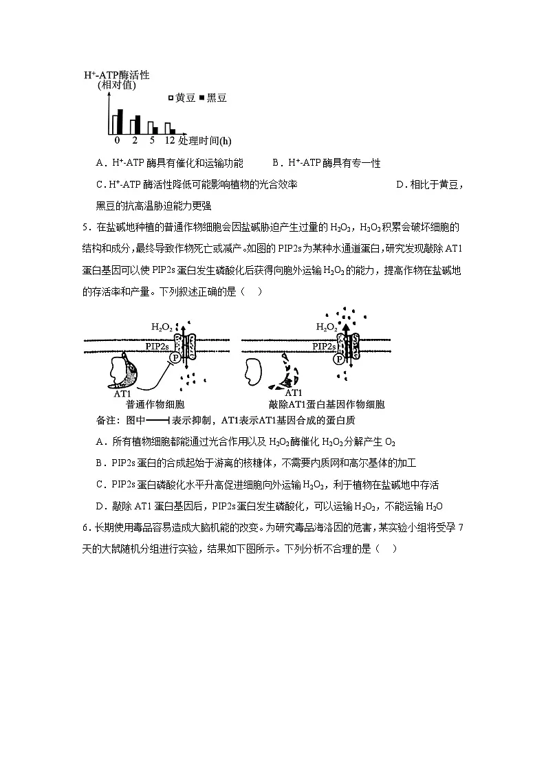 信息必刷卷03(新高考通用)原卷版第3页