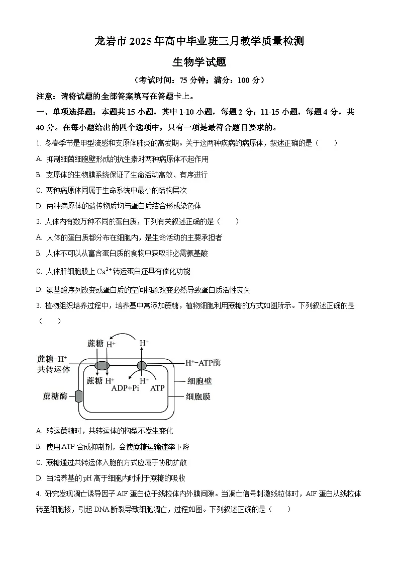 2025届福建省龙岩市高三下学期高中毕业班3月教学质量检测生物试题 Word版无答案第1页