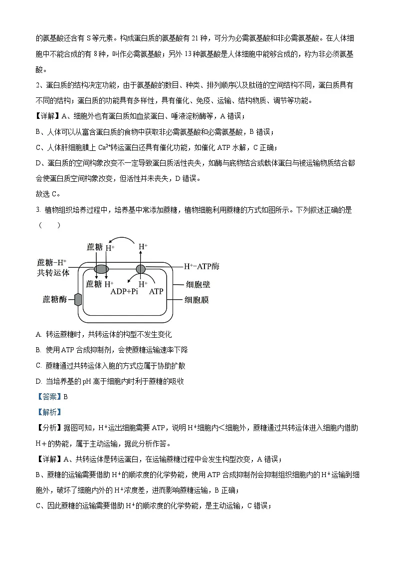 2025届福建省龙岩市高三下学期高中毕业班3月教学质量检测生物试题 Word版含解析第2页