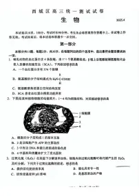 2025届北京市西城区高三一模统一测试 生物试题+答案