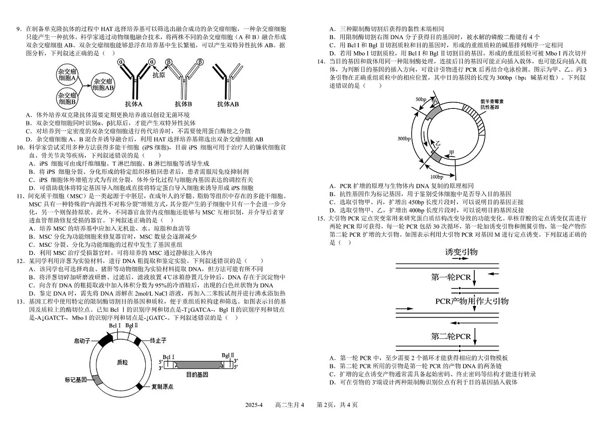 四川省成都市树德中学2024-2025学年高二下学期4月阶段性测试生物试卷(PDF版附答案)第2页