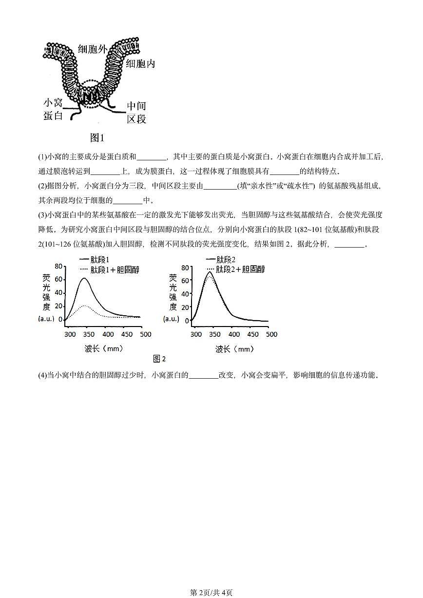 2024北京重点校高一(上)期中真题生物汇编:细胞膜的结构和功能第2页