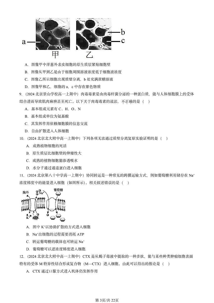 2024北京重点校高一(上)期中真题生物汇编:细胞的物质输入与输出章节综合第3页