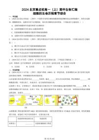 2024北京重點(diǎn)校高一（上）期中真題生物匯編：細(xì)胞的生命歷程章節(jié)綜合