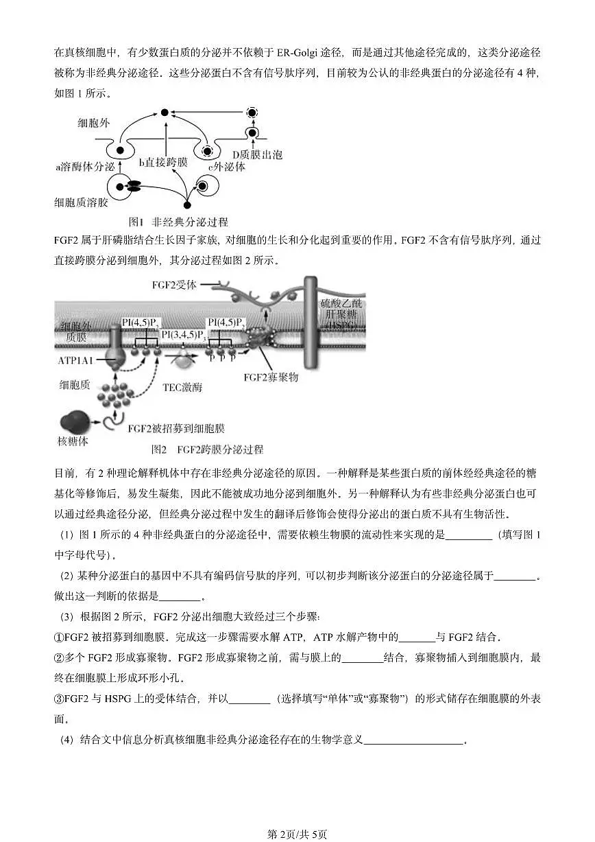 2020-2024北京重点校高三(上)期中真题生物汇编:细胞器之间的分工合作第2页