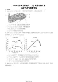 2024北京重点校高三(上)期中真题生物汇编:光合作用与能量转化