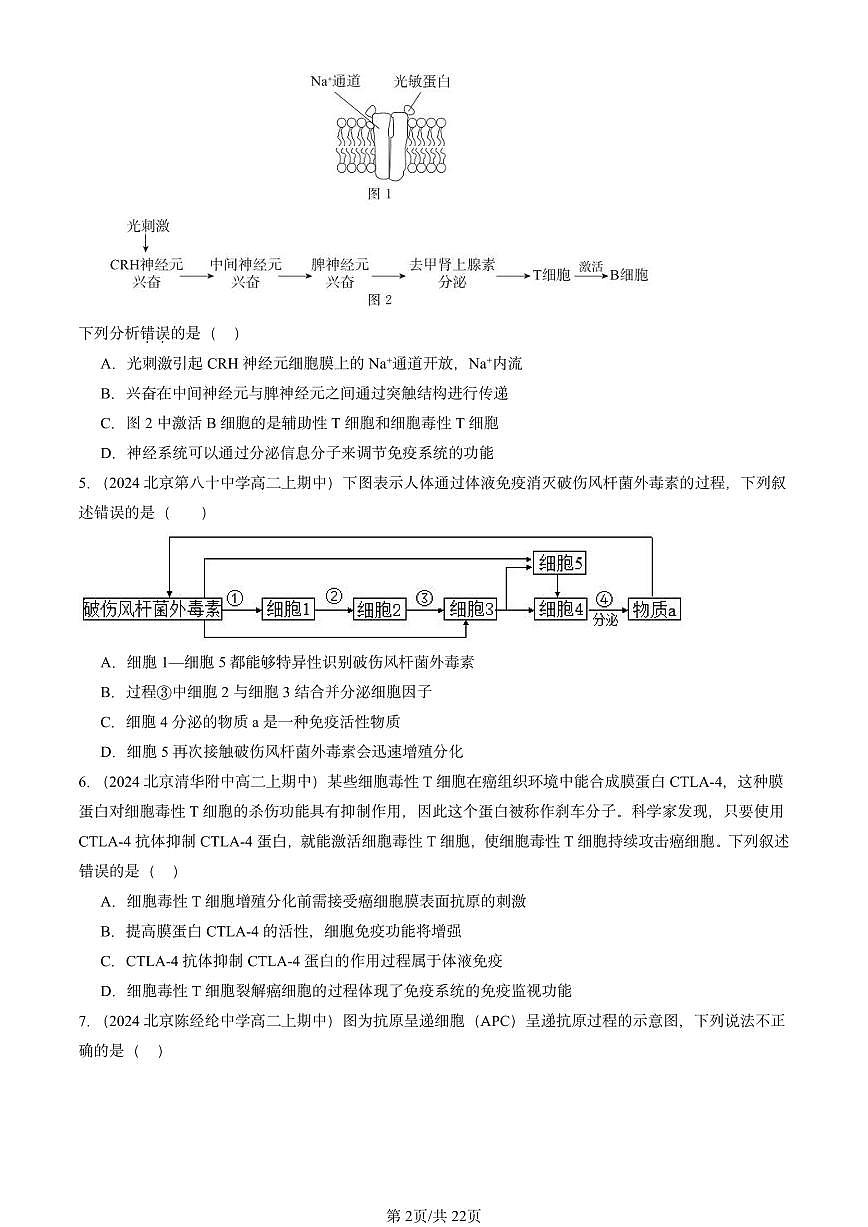 2024北京重点校高二(上)期中真题生物汇编:特异性免疫第2页